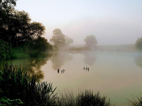 Some photos I've taken over the years that feel Deep England-y
