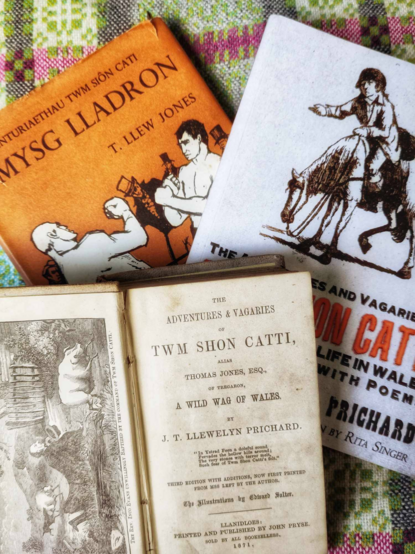 Some novels published about Twm Sion Cati since the nineteenth century.