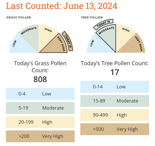 June 13, 2024 grass pollen count is 808 (very high over 200) and tree pollen count is 17 (moderate) parts per cubic meter.