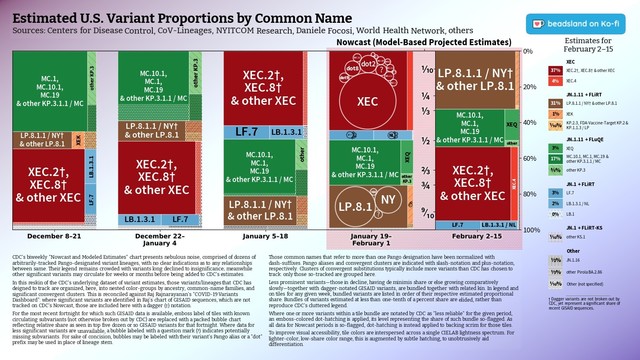 Chart: Estimated U.S. Variant Proportions by Common Name
Sources: Centers for Disease Control, CoV-Lineages, NYITCOM Research, Daniele Focosi, World Health Network, others

[ beadsland on Ko-fi ]

Reskin of CDC's Variants Nowcast, and any significant variants in GISAID not broken out by CDC.

Five bar-style tree-charts, for fortnights through February 2–15. Legend of last fortnight, organized by subheadings of color-grouped families and convergent clusters. Percentages overlay each color key, reflecting share as of most recent tree-chart.

Essentially all WHO-Vaccine-Target JN.1. JN.1.11 accounts for over half; JN.1 + FLiRT for near half.

For fortnight of 1/19–2/1, packed bubble charts fill single-variant tiles, indicating diversification of those variants (per GISAID) that wouldn't otherwise be apparent from CDC's Nowcast.

Legend:

XEC [reds]:
37% - XEC.2†, XEC.8† & other XEC
4% - XEC.4

JN.1.11 + FLiRT [browns]:
31% - LP.8.1.1 / NY† & other LP.8.1
1% - XEK
⅒% - KP.2.3, FDA-Vaccine-Target KP.2 & KP.1.1.3 / LP

JN.1.11 + FLuQE [greens]:
3% - XEQ
17% - MC.10.1, MC.1, MC.19 & other KP.3.1.1 / MC
⅗% - other KP.3

JN.1 + FLiRT [blues]:
3% - LF.7
2% - LB.1.3.1 / NL
0% - LB.1

JN.1 + FLiRT-KS [purple]:
⅒% - other KS.1

Other [greys]:
½% - JN.1.16
⅓% - other Pirola BA.2.86
⅒% - Other (not specified)

† Dagger variants are not broken out by CDC, yet represent a significant share of recent GISAID sequences.