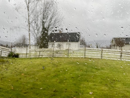 The second of two shots showing a wet and dreary back yard. In this shot, the focus is on the many rain drops on the window, and the background is out of focus.