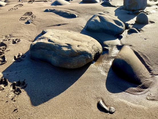 Closeup of some stones on a sandy beach. There is a little water between some of them, and on the left are some footprints left by a human and a dog.