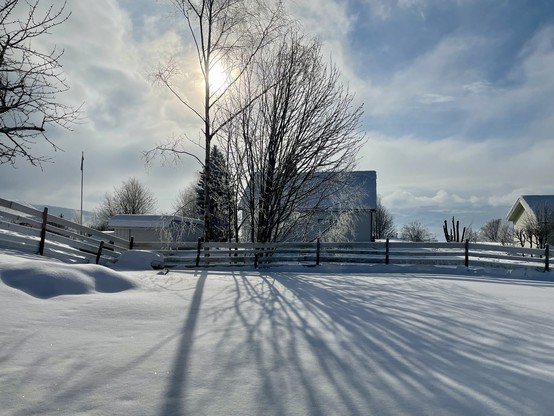 A snow-covered garden, bordered by a fence. Beyond the fence are a couple of trees and a house. The sky is just clearing, and the sun is shining through a hole in the clouds causing the trees to cast stark shadows on the snow covering the garden.