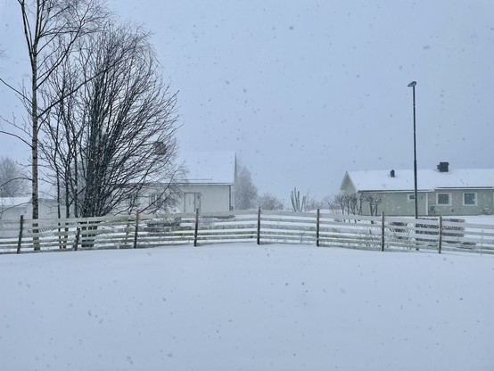Sunday, April 5th, and there’s heavy snowfall. This is a view of a garden covered in snow. At the edge of the garden is a white, wooden fence and beyond that, two white houses. There are two trees on the left, just on the other side of the fence. The sky is grey, and the photo captures many snowflakes in the air.