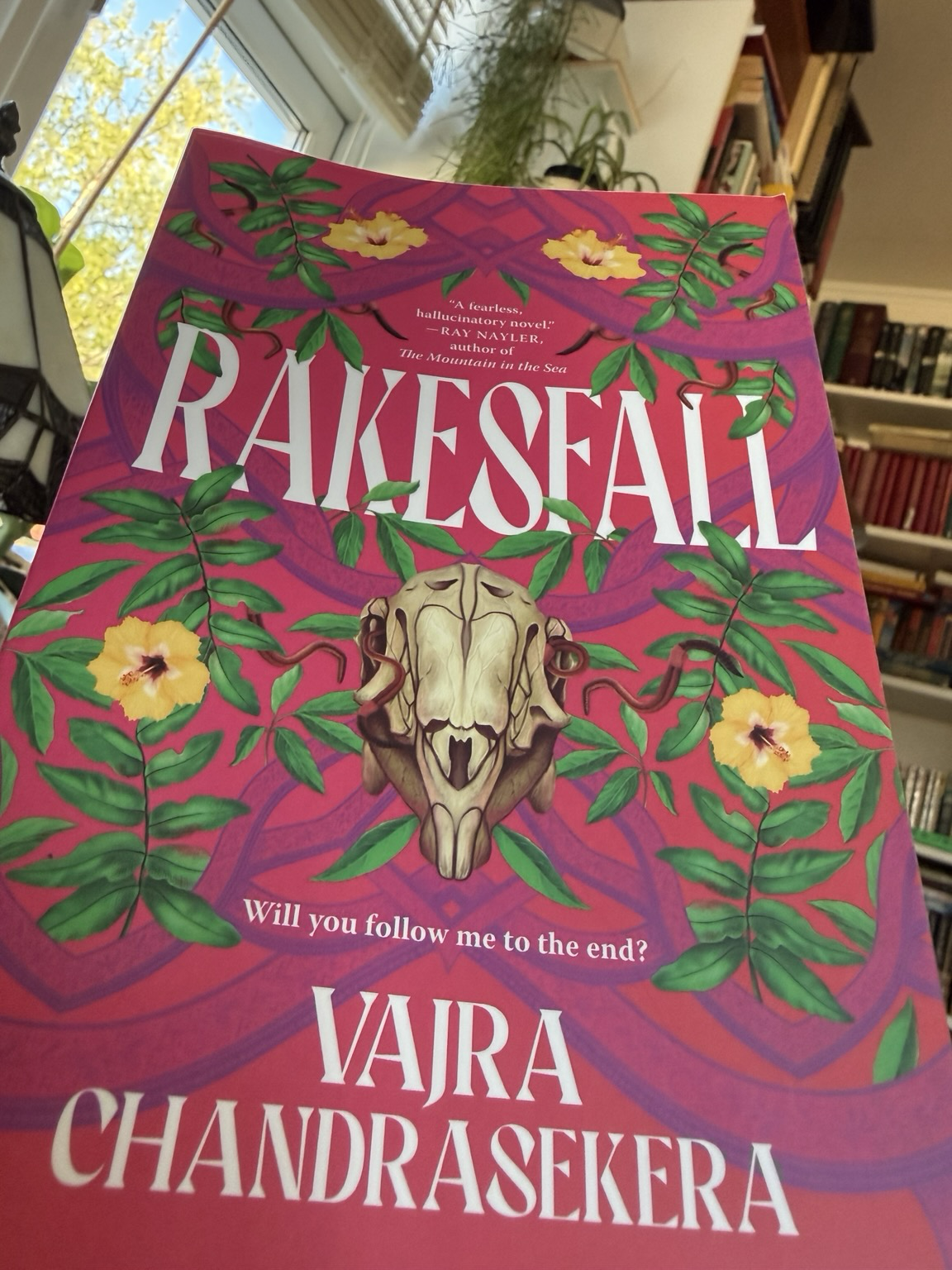 Cover of Rakesfall. It is bright pink with hibiscus flowers and a regular ornate pattern, which makes it seem generically happy until you spot the skull (rodent?) and the worms crawling through it.