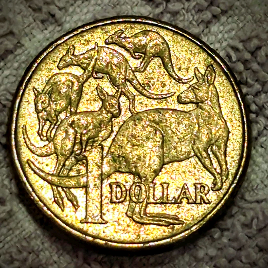 2011 Australia dollar coin Reverse
"Mob of Roos" Five Kangaroos & Denomination

Script: Latin

Lettering: 1 DOLLAR

Designer: Stuart Devlin