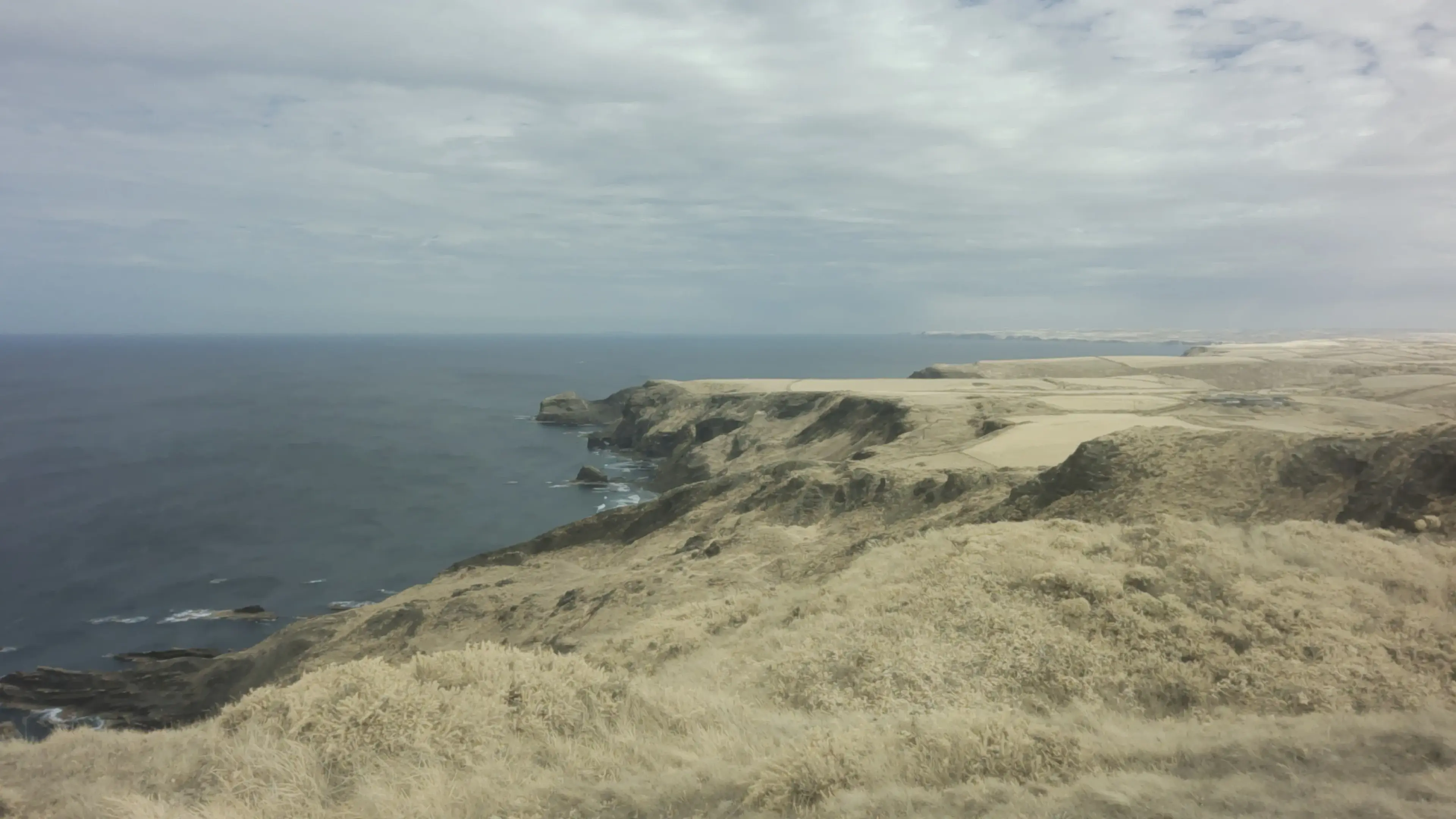 Infrared filtered image of a Cornish coastal landscape. All vegetation appears a pale yellow