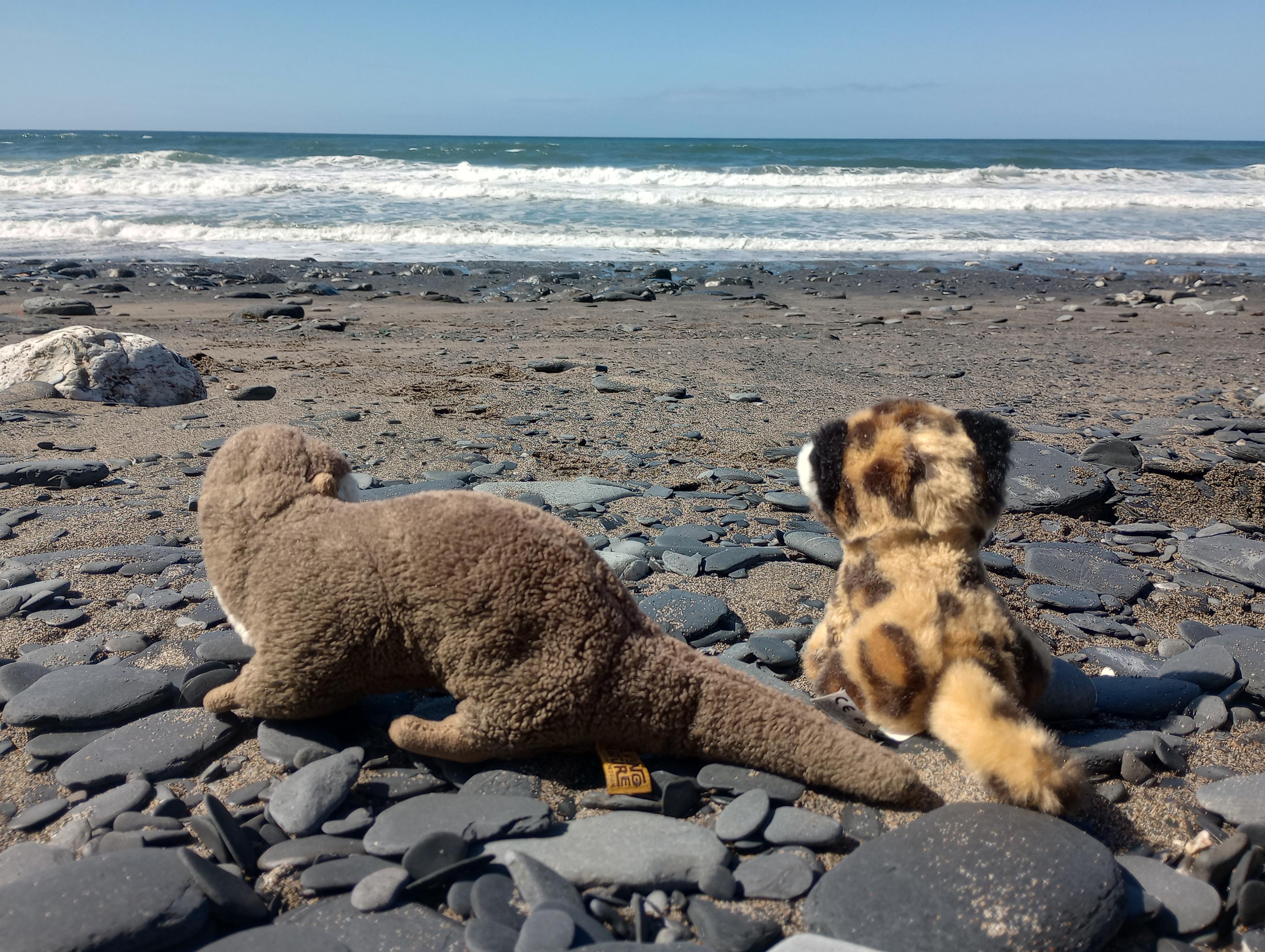 A rocky shoreline, with two stuffed creatures looking outwards the horizon!