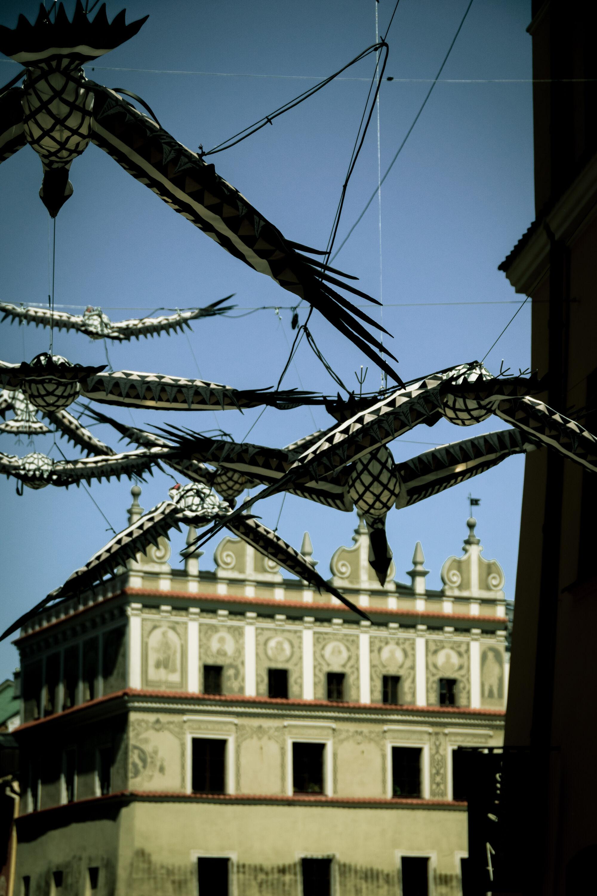 An art installation with large flying bird hung high above the street between buildings.