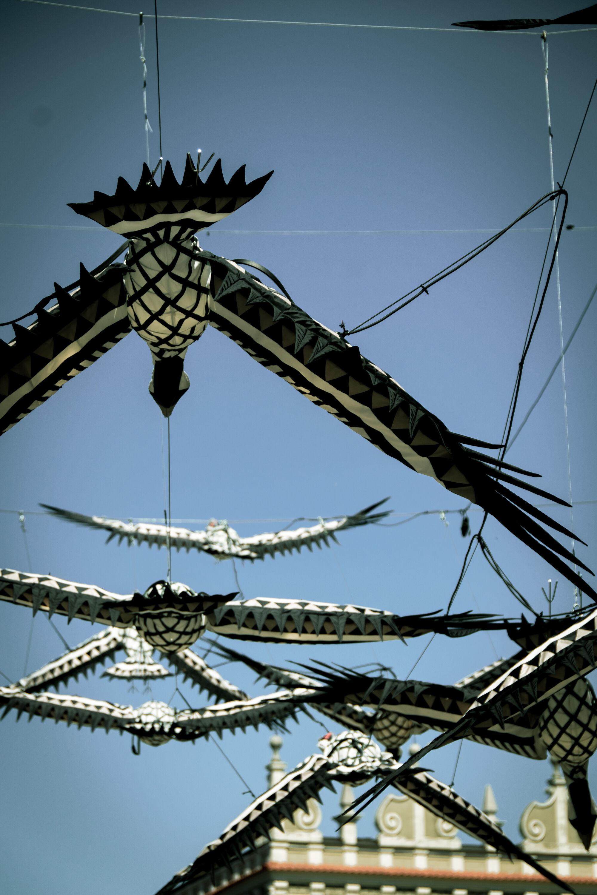 An art installation of large, patterned birds suspended in the air between buildings.